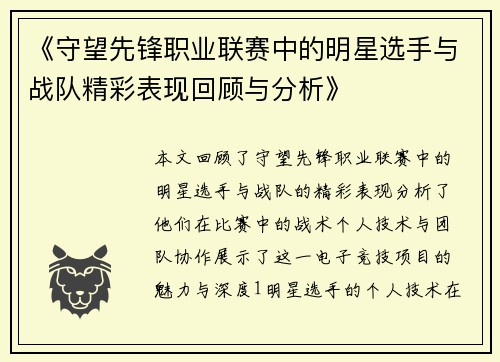 《守望先锋职业联赛中的明星选手与战队精彩表现回顾与分析》