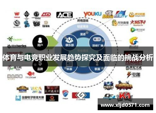 体育与电竞职业发展趋势探究及面临的挑战分析