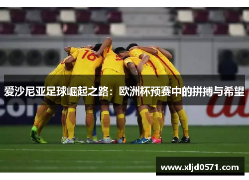 爱沙尼亚足球崛起之路：欧洲杯预赛中的拼搏与希望