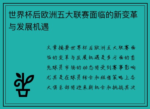 世界杯后欧洲五大联赛面临的新变革与发展机遇