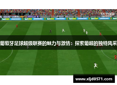 葡萄牙足球超级联赛的魅力与激情：探索葡超的独特风采
