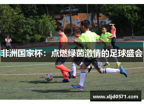 非洲国家杯：点燃绿茵激情的足球盛会
