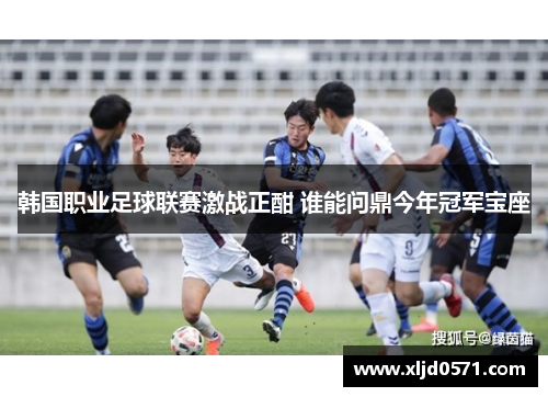 韩国职业足球联赛激战正酣 谁能问鼎今年冠军宝座
